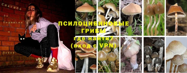 альфа пвп Майский